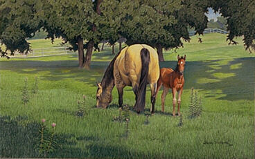 Days of Graze - Click for more info