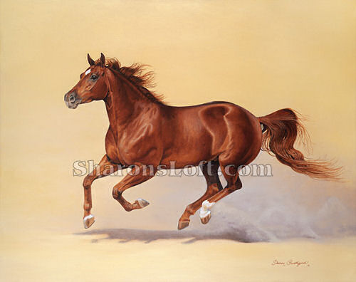 Flying on Four Winds