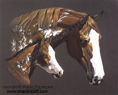 Paint Mare and Foal