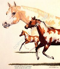 Pride in a Glance - Click for more info