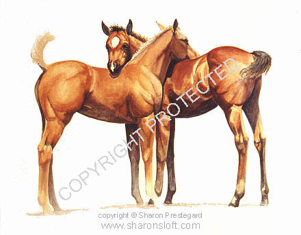 The Feeling's Mutual