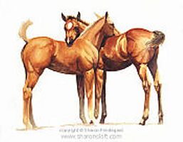 The Feeling's Mutual - Click for more info