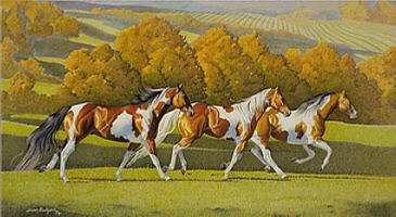 Tobiano Season - Click for more info